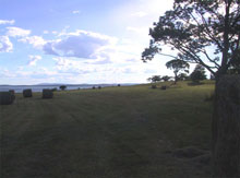 Photo of a saltwater farm