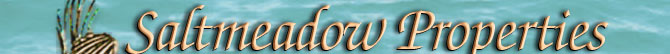 Waterfront Real Estate Maine : Saltmeadow Properties